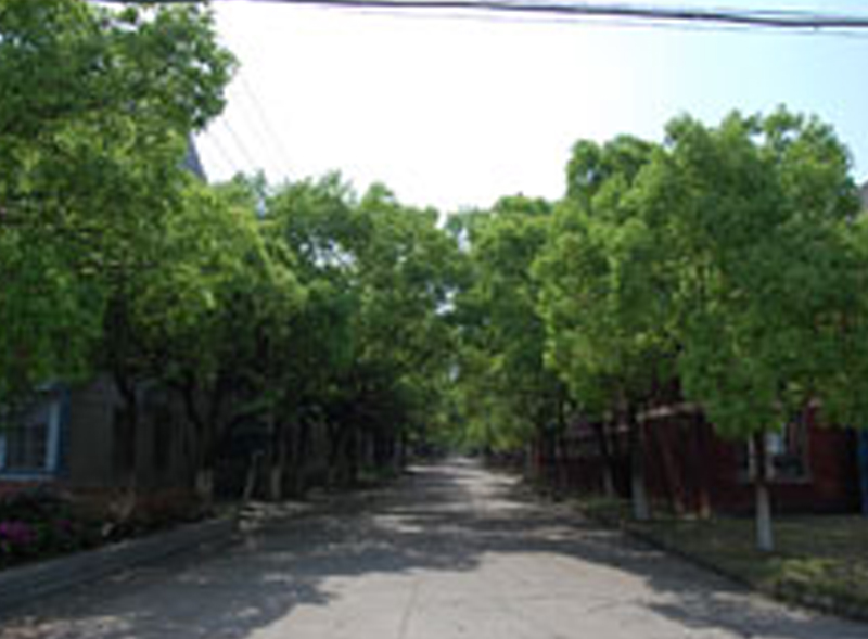 中煤煤礦機(jī)械